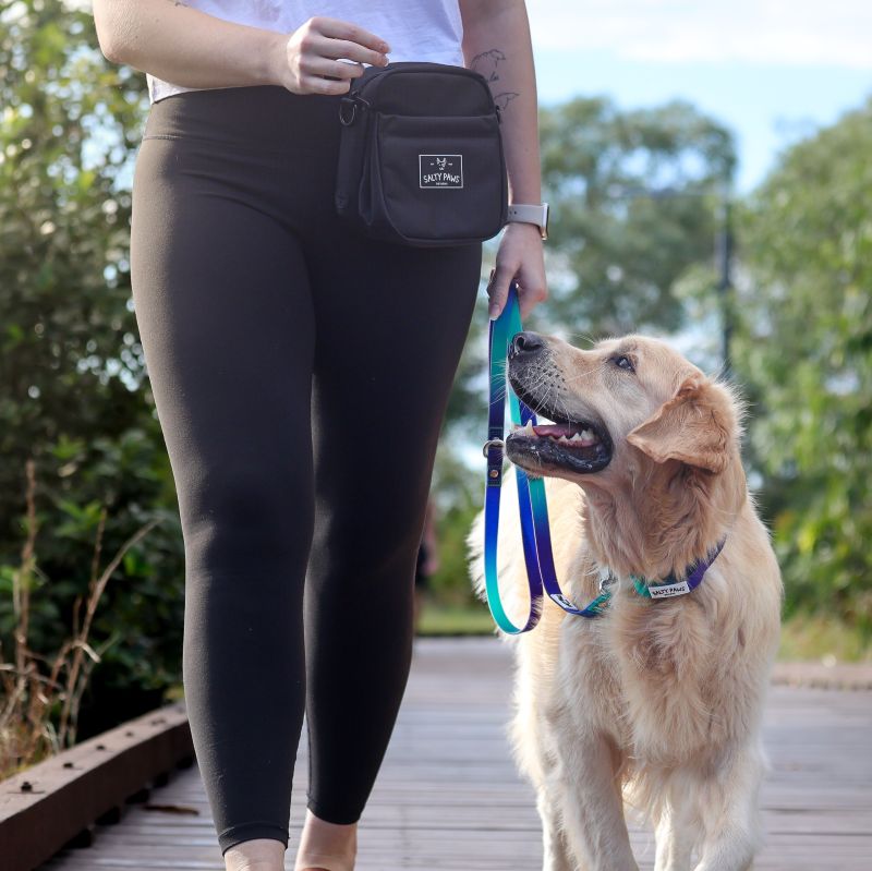 Everyday Walks