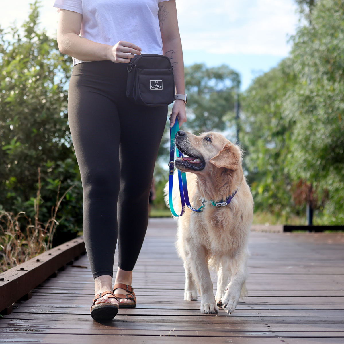 The Original Dog Training Treat Pouch