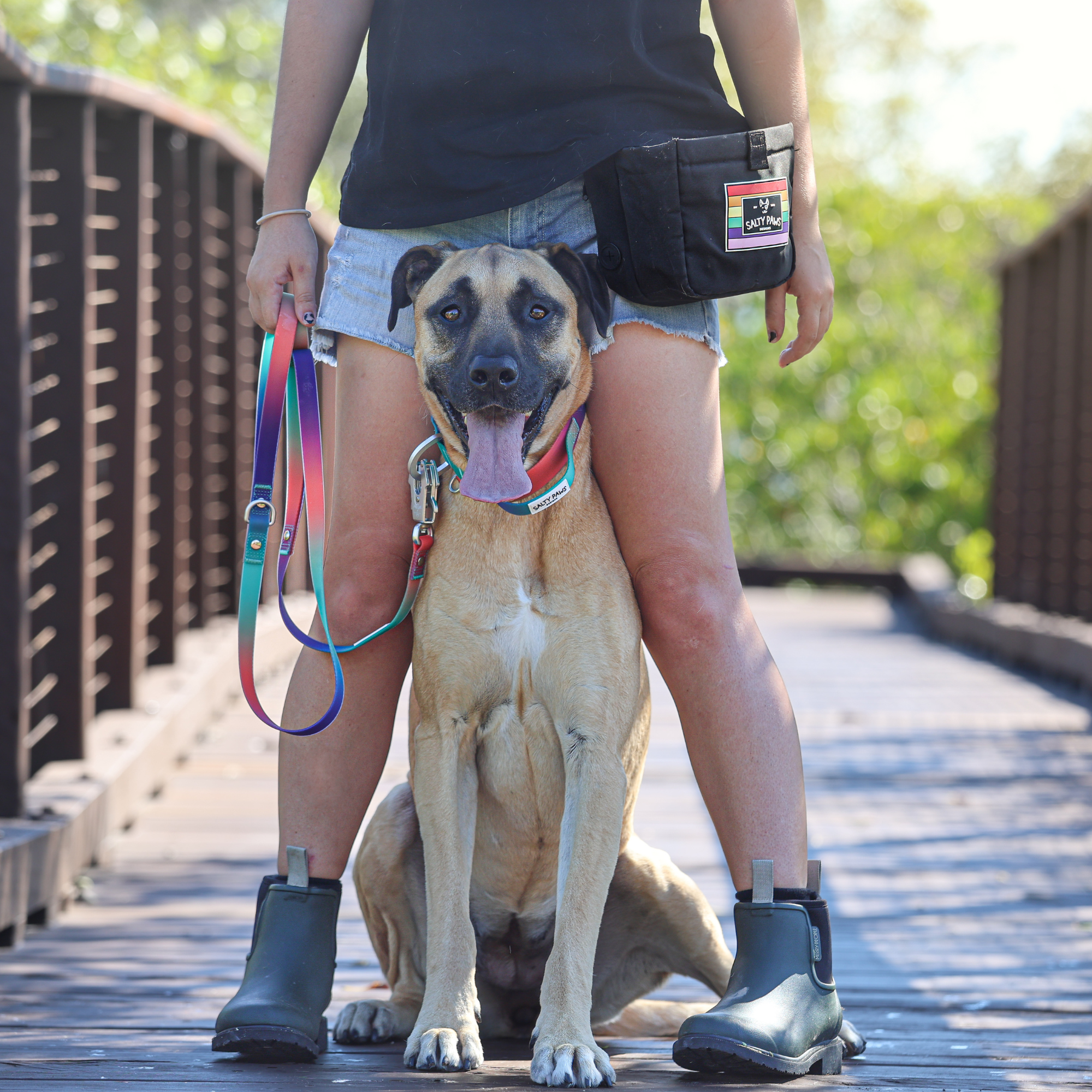 Pride Dog Training Treat Pouch Limited Edition Salty Paws Designs