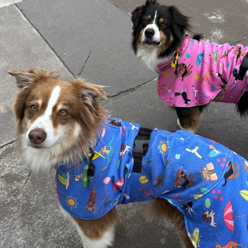Dog Drying Coat / Towel Robe