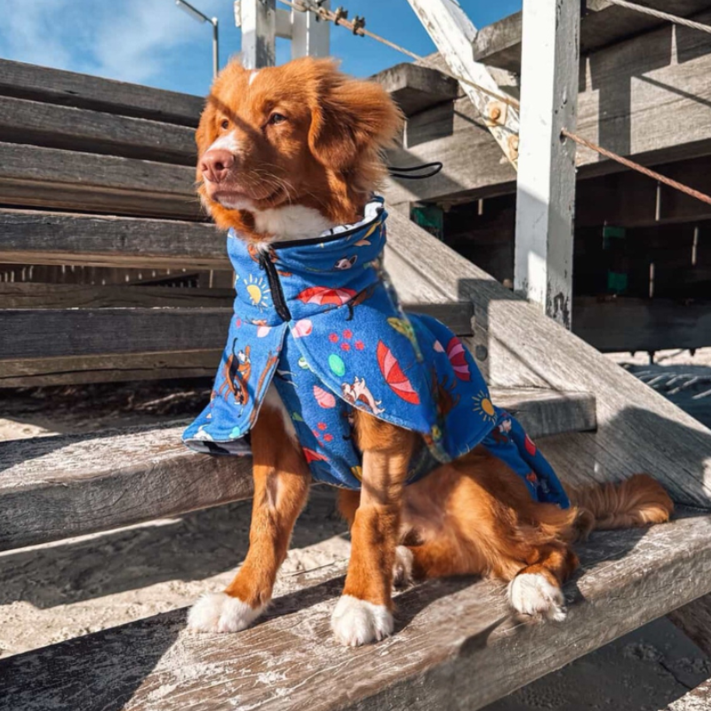 Dog Drying Coat / Towel Robe