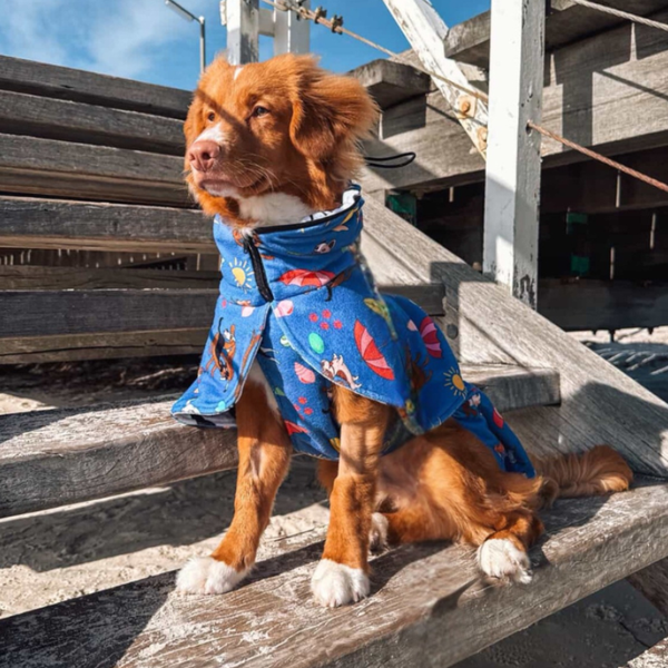 Dog Drying Coat / Towel Robe