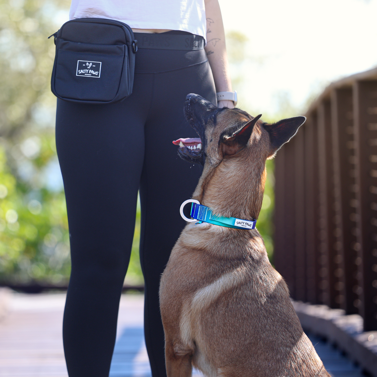 The Original Dog Training Treat Pouch