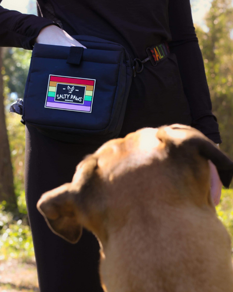 dog treat training pouch pride