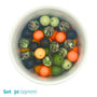 Silicone Beaded Dog Necklace - Set 30