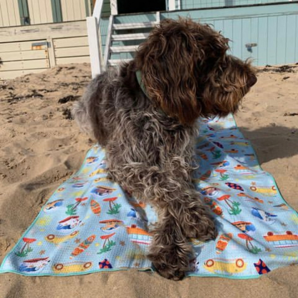 Surf's Up - Dog Adventure Towel