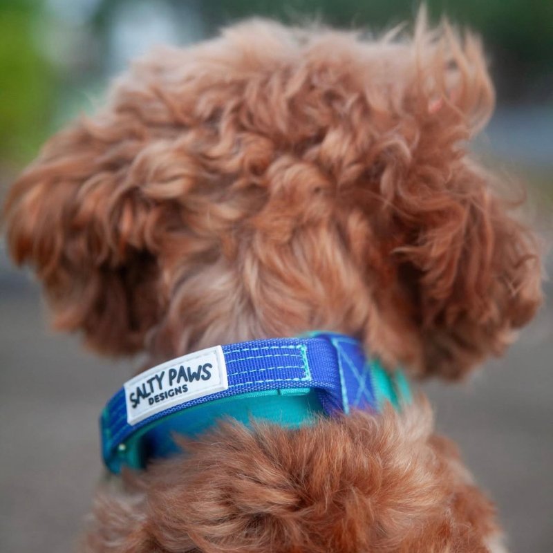 Ombré Tactical Collars with Aluminium Hardware