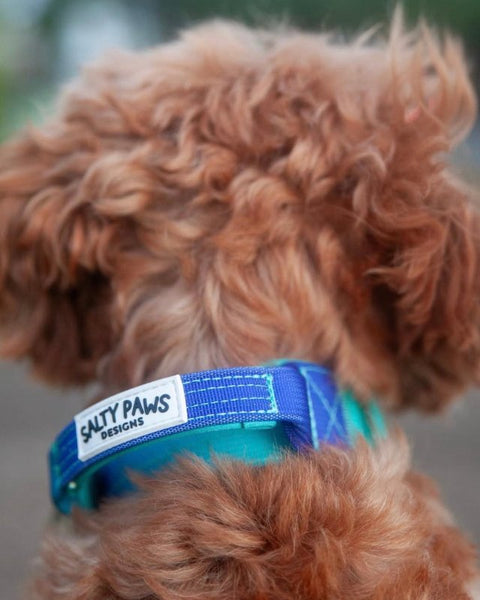 Ombré Tactical Collars with Aluminium Hardware