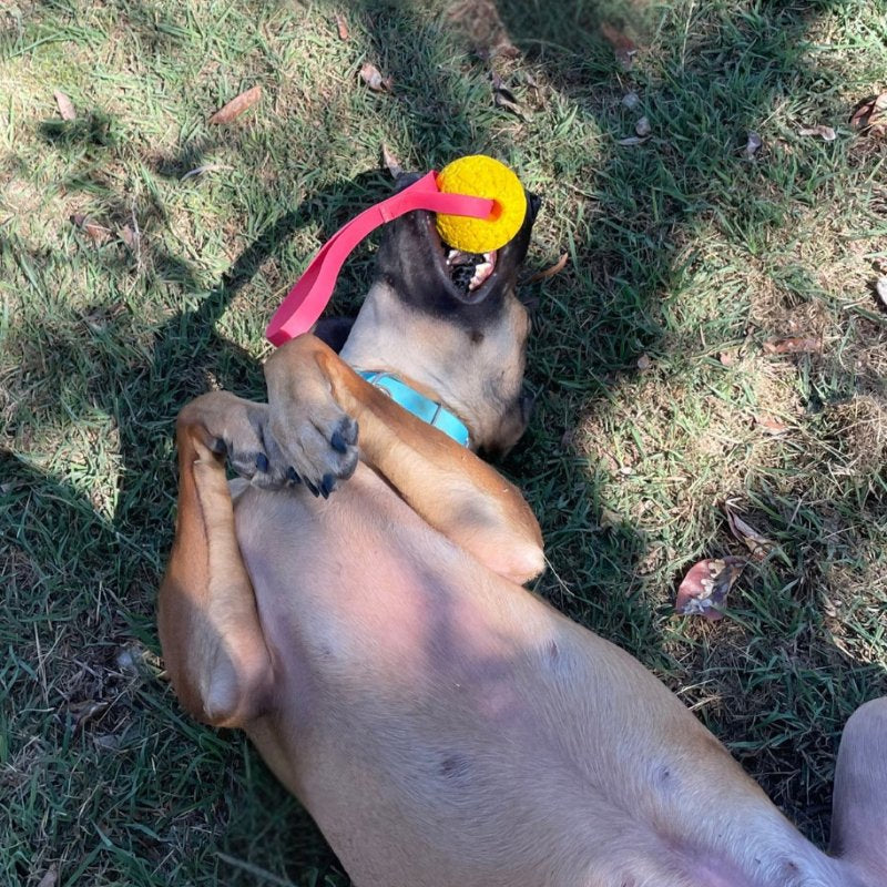Tug'n'Toss