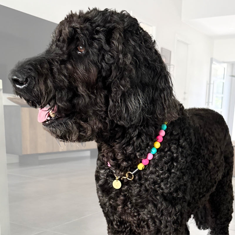 Silicone Beaded Dog Necklace | Personalised and Custom Made