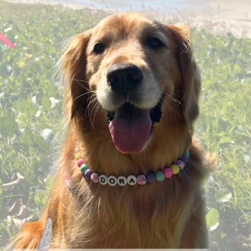 Silicone Beaded Dog Necklace | Personalised and Custom Made
