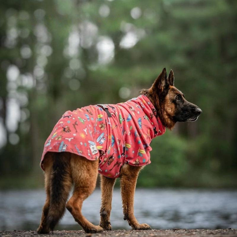 Dog Drying Coat / Towel Robe