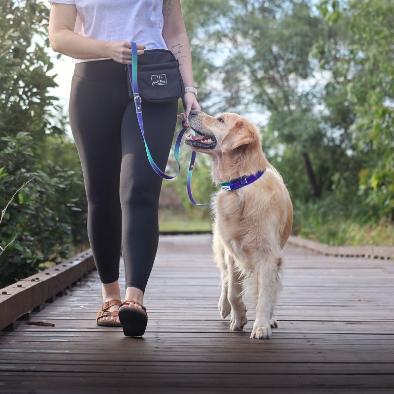 Golden retriever walking on a bridge with owner holding Salty Paws blue purple green gradient dual handle lead