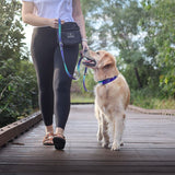 Golden retriever walking on a bridge with owner holding Salty Paws blue purple green gradient dual handle lead
