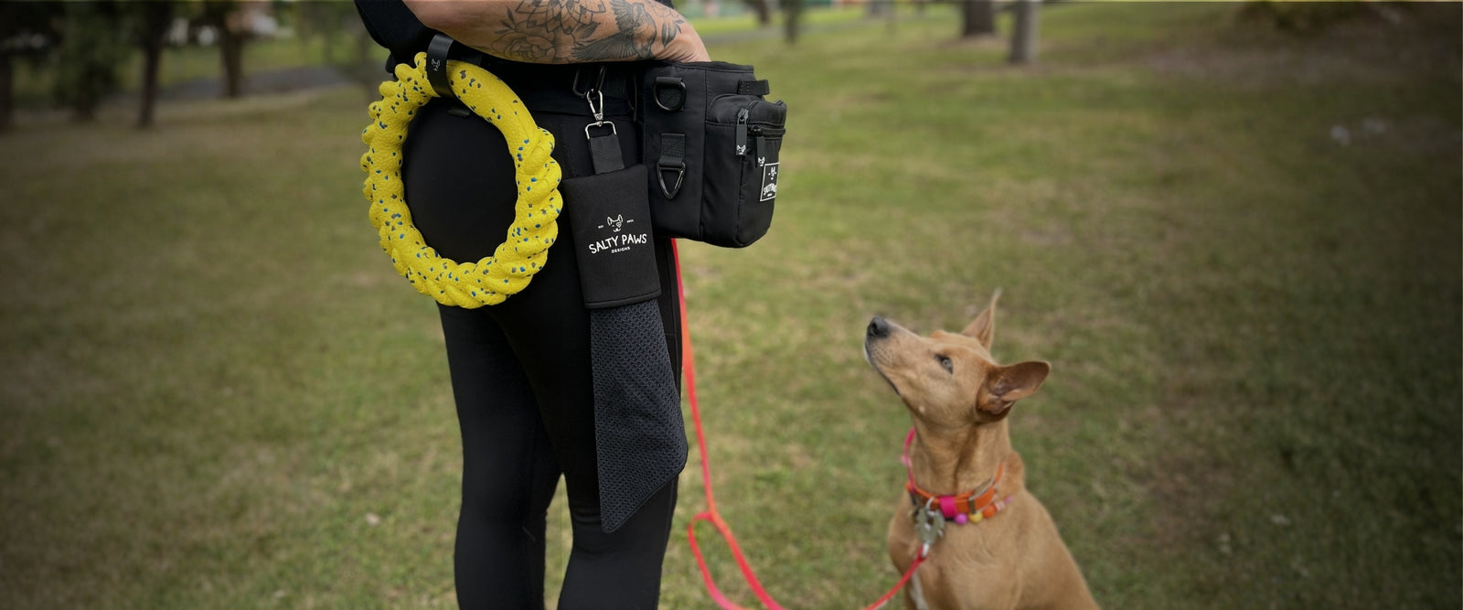  A person outdoors on a grassy field wearing a salty paws designs snaplock pro dog training pouch with a bright yellow fit ring, while a tan kelpie looks up at them.