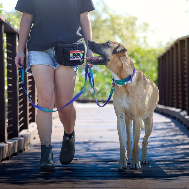 large dog walking on a bridge with owner holding Salty Paws blue purple green gradient dual handle quick release lead