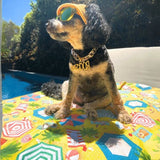 Small dog wearing sunglasses sitting on the Salty Paws Designs Life's a Beach dog beach towel in yellow beside a pool