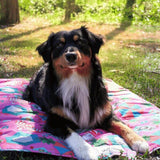 dog training mat