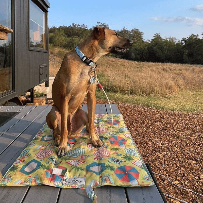 dog travel mat