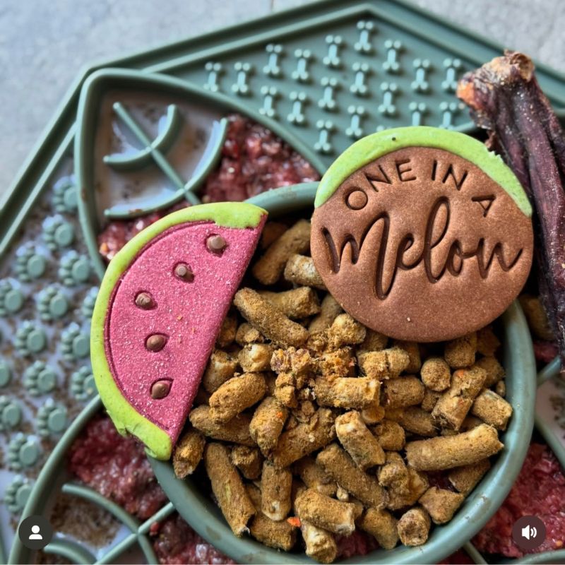 Lotus Slow Feeder in sage filled with kibble and dog treats close up