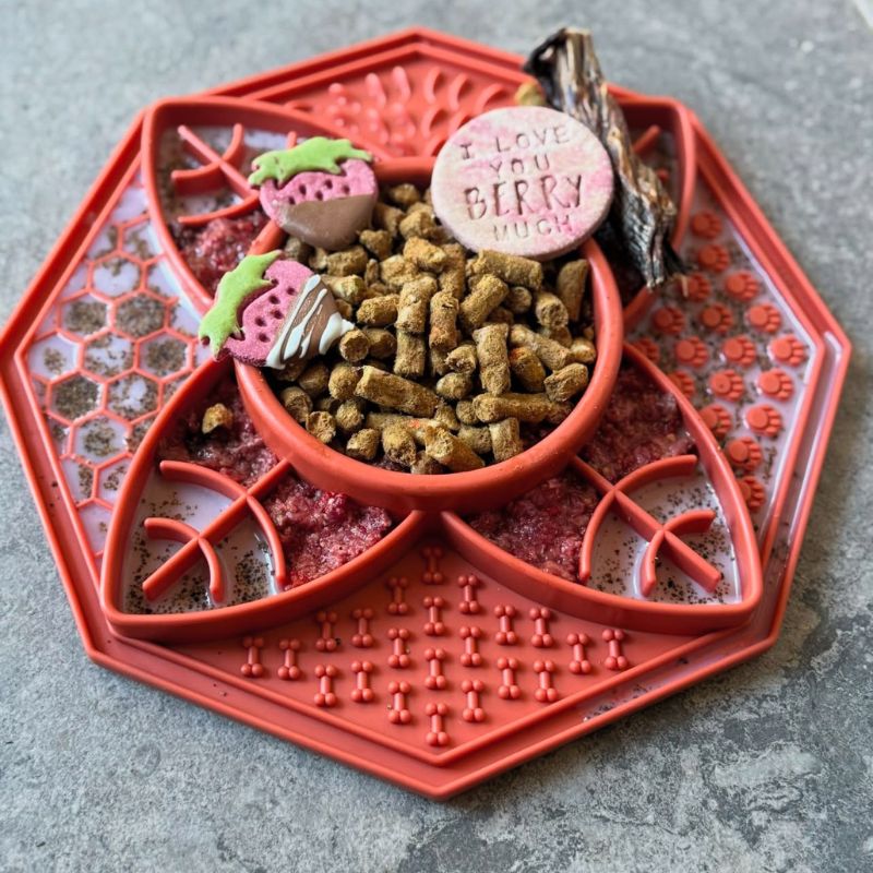 Lotus Slow Feeder in orange filled with kibble and dog treats for enrichment