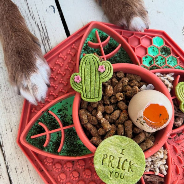 Lotus Slow Feeder in orange loaded with dog food and enrichment treats