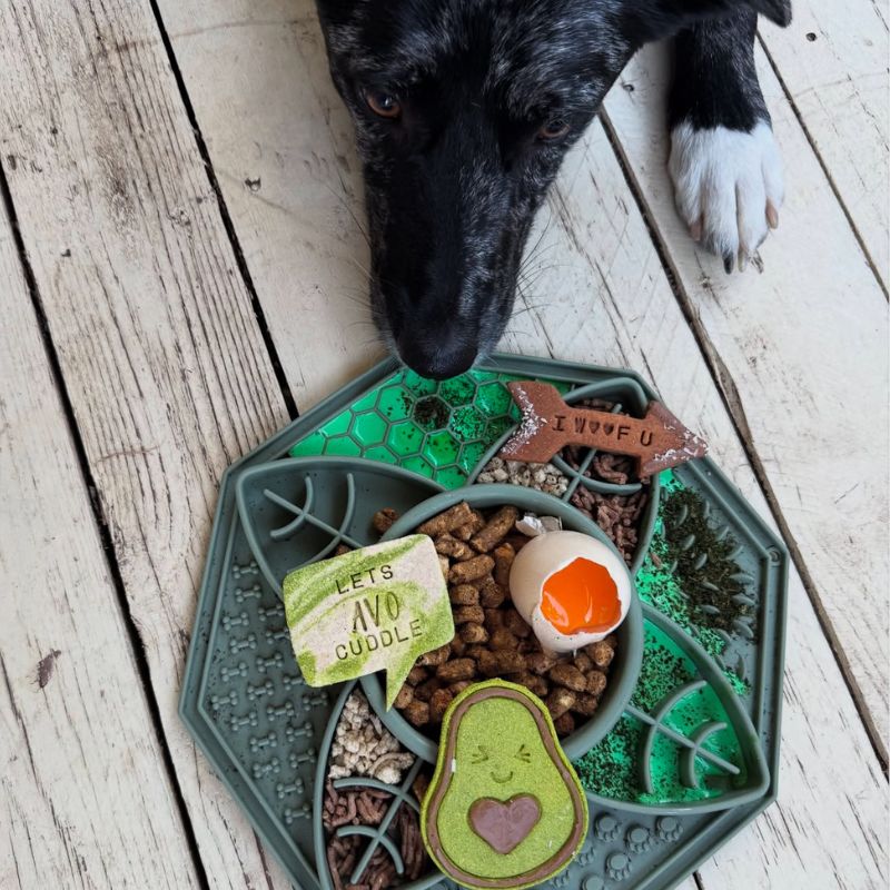 Dog using Lotus Slow Feeder in sage loaded with kibble and enrichment treats