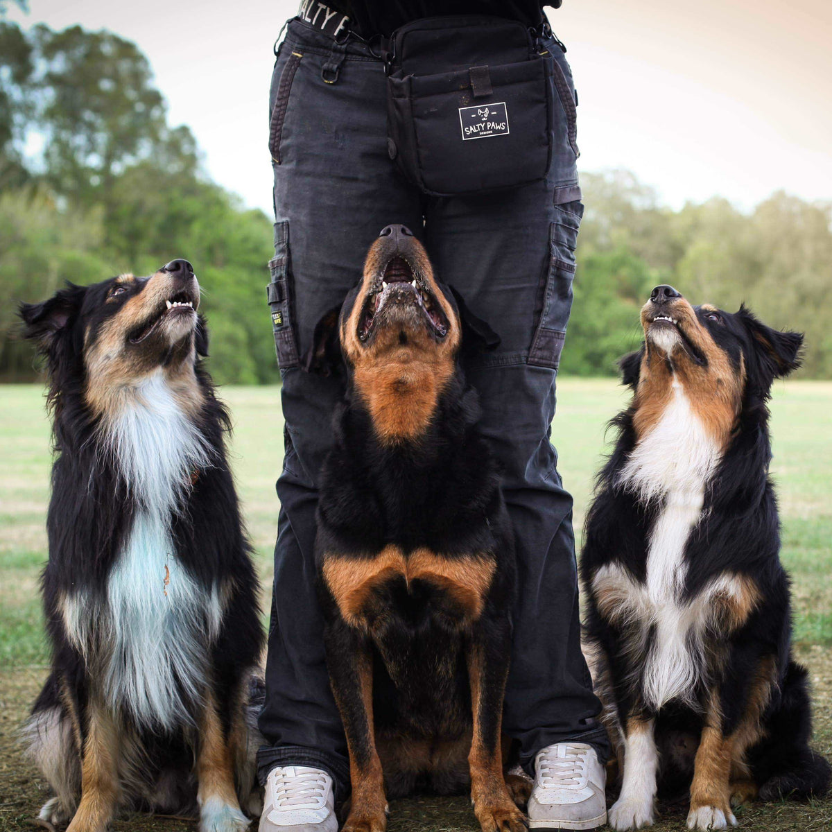 The Original Dog Treat Training Pouch