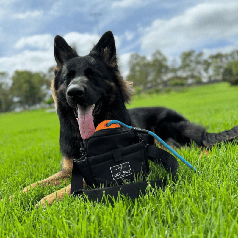 The Original Dog Training Treat Pouch