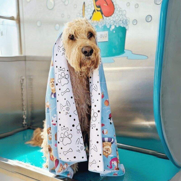 Spoodle wrapped in the Salty Paws Designs Pool Party adventure dog towel in blue after a bath, showing the fur-free microfibre finish