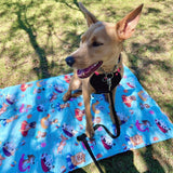 dog training mat