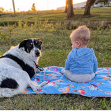 dog picnic mat