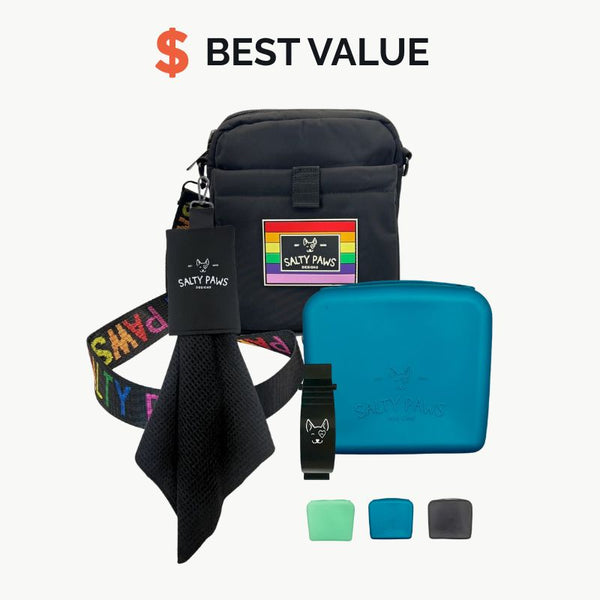 Pet product set with black bag, colorful collar, towel, and blue pouch on a white background.