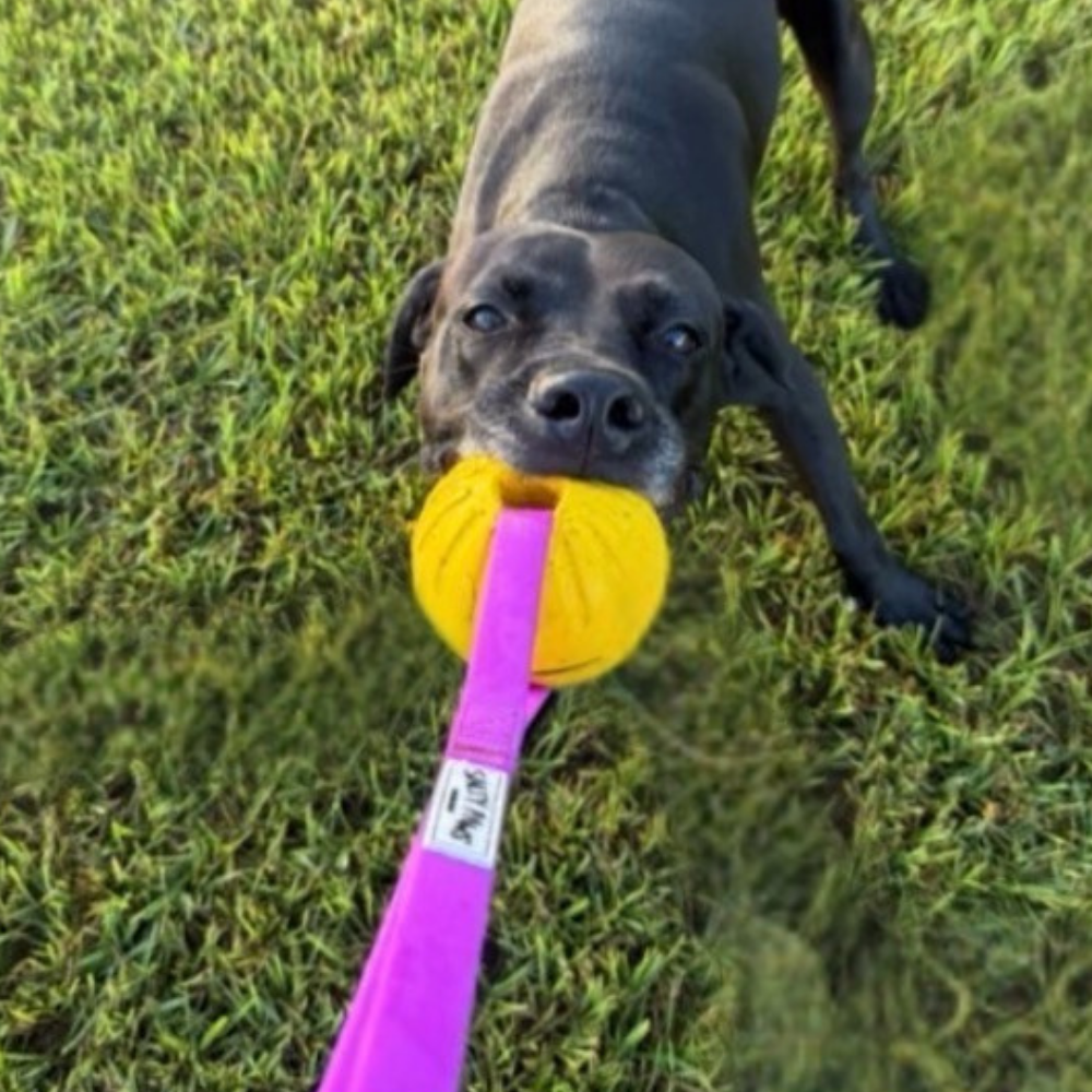 Tug'n'Toss