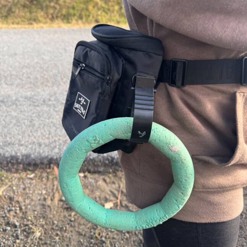 Dog owner using Salty Paws belt accessory clip to carry a ring toy and long line lead during training
