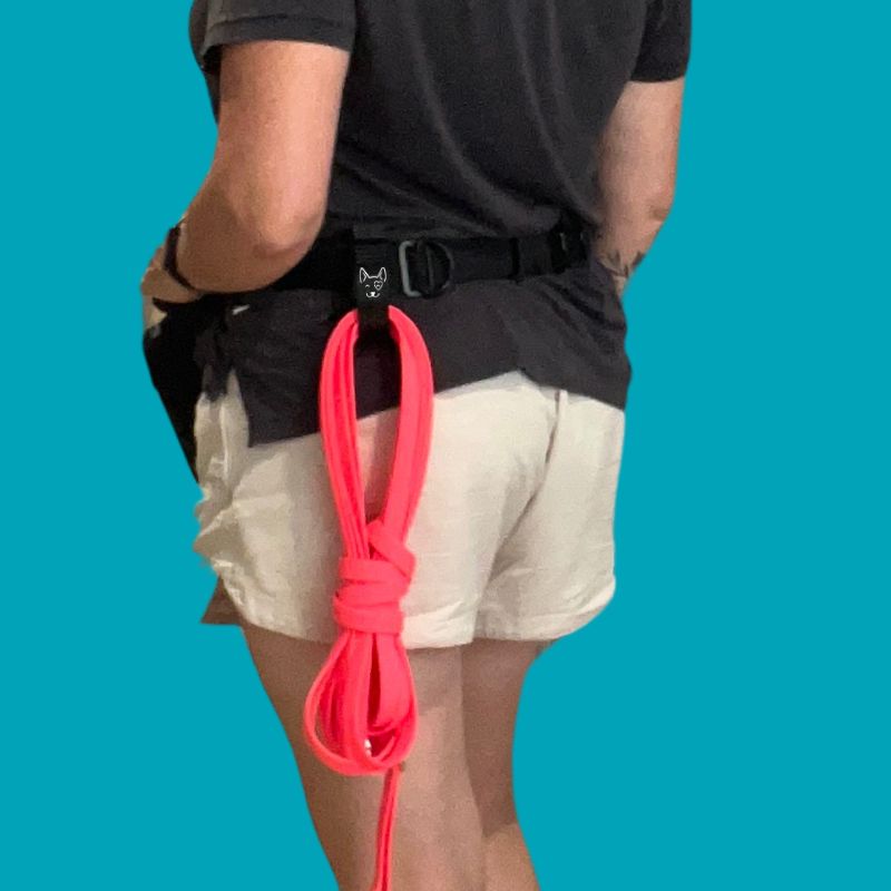 Salty Paws belt accessory clip clipped to a belt holding a bundled pink long line lead, teal background