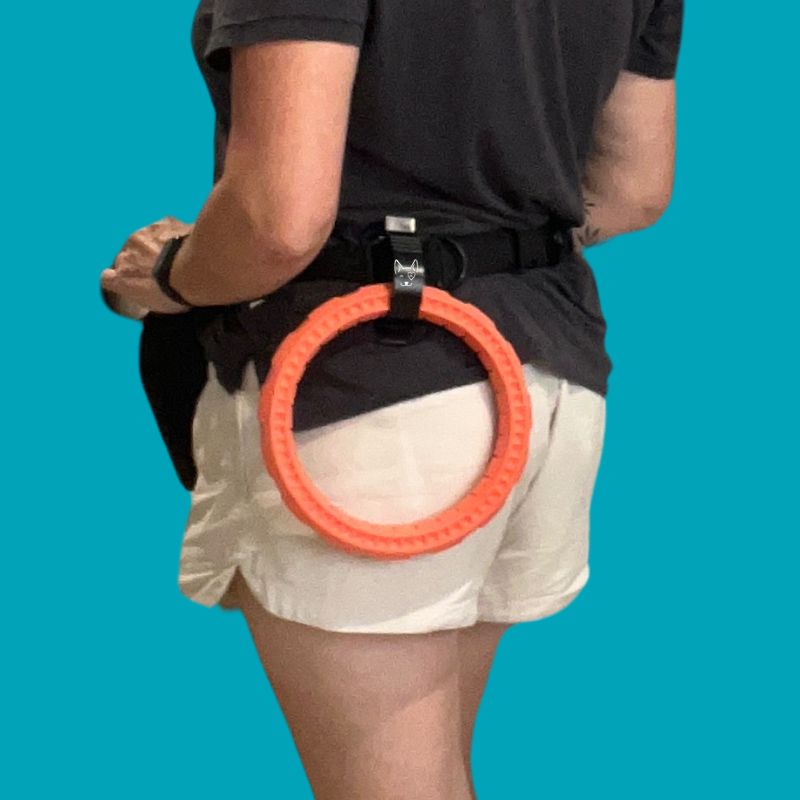 Salty Paws belt accessory clip attached to a belt holding a teal foam ring toy, hands-free dog training