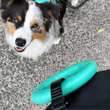 Salty Paws belt accessory clip holding a teal ring toy, clipped to a dog owner's belt