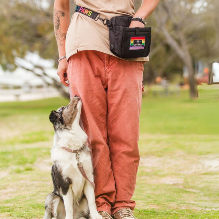 Person standing with a dog in a park, wearing a black bag with rainbow design.