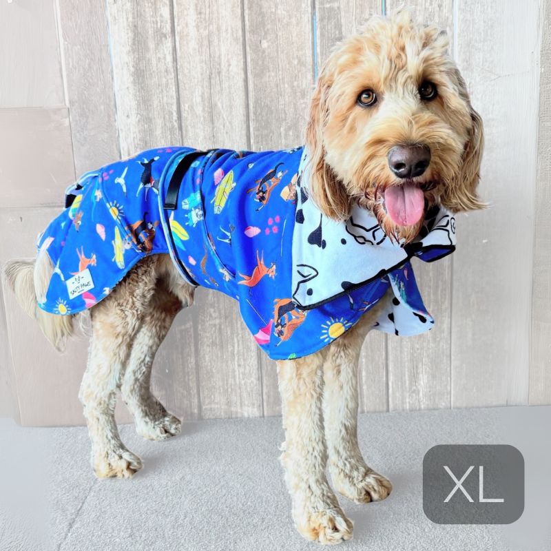 Golden doodle wearing Salty Paws Dog Drying Coat in blue beach dog print, size XL shown
