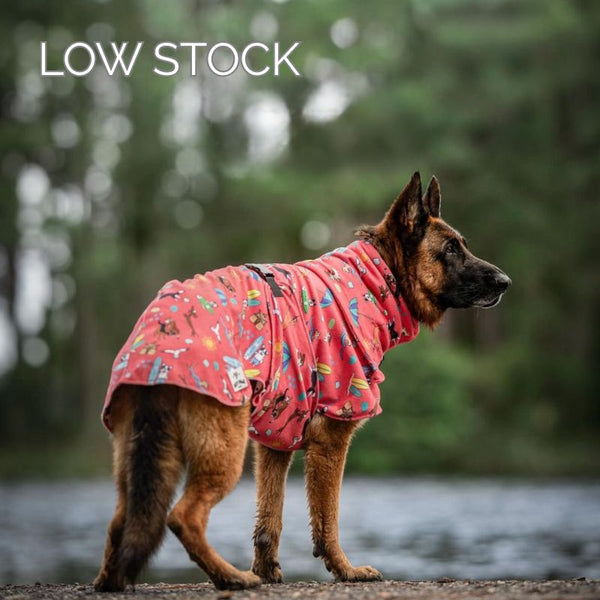 German Shepherd wearing Salty Paws Dog Drying Coat in Pink beach print standing outdoors by water
