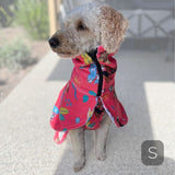 Small labradoodle wearing Salty Paws Dog Drying Coat in watermelon colour beach print, size small shown