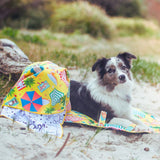Border collie dog resting on yellow Salty Paws Designs Life's a Beach settle mat at the beach with adventure towel and drawstring bag