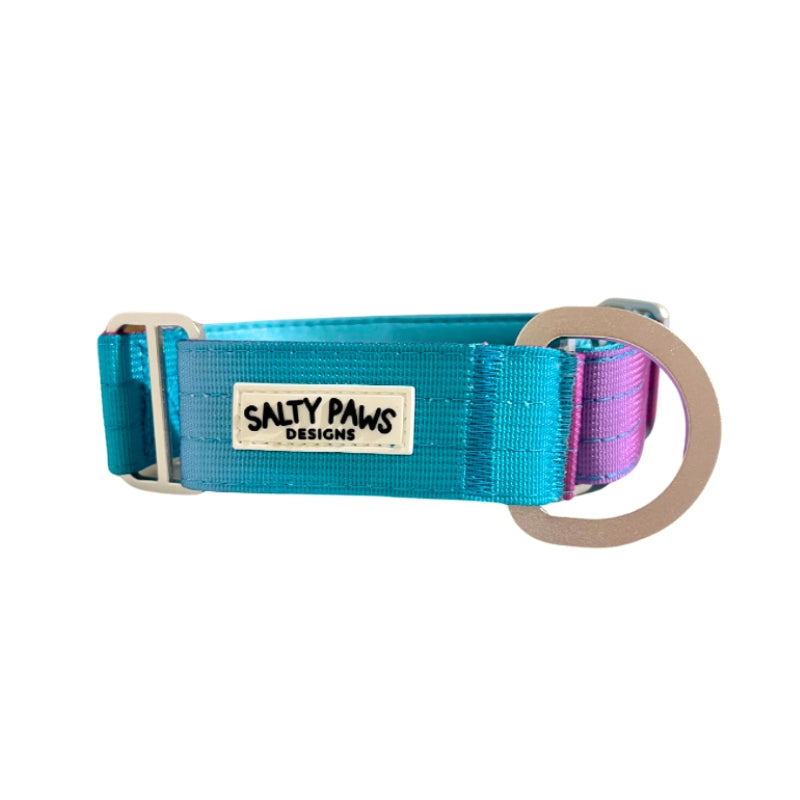 Salty Paws ombre martingale collar in aqua to purple gradient with aluminium hardware
