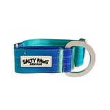 Salty Paws ombre martingale collar in blue to green gradient with silver D-ring hardware