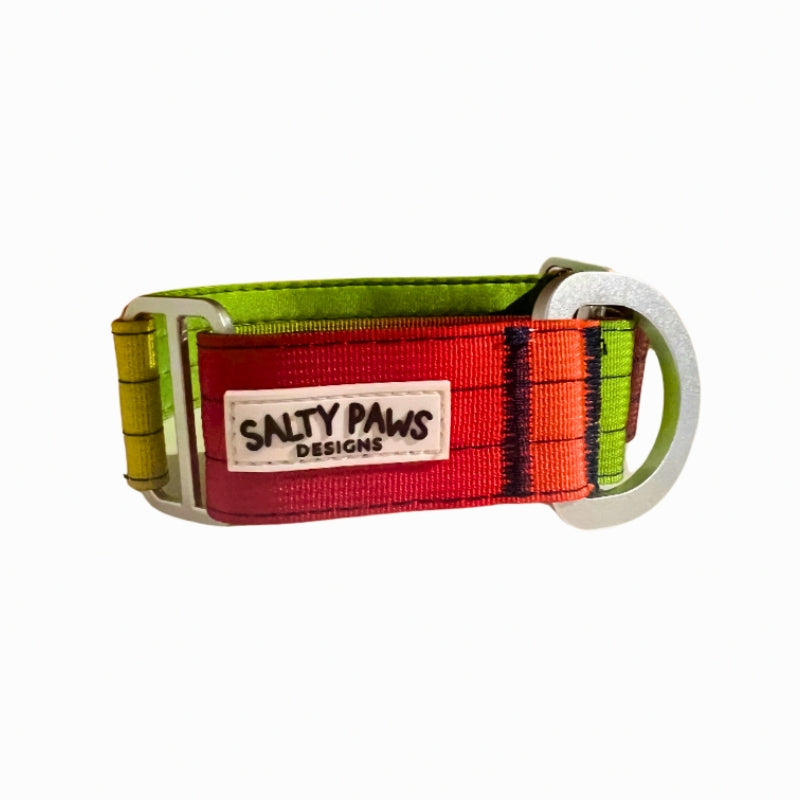 Salty Paws ombre martingale collar in dark rainbow gradient with silver aluminium hardware