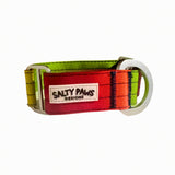 Salty Paws ombre martingale collar in dark rainbow gradient with silver aluminium hardware