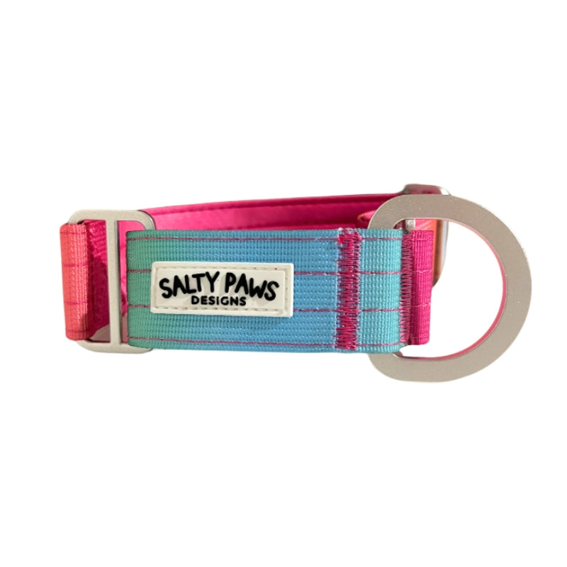 Salty Paws ombre martingale collar in light rainbow gradient with D-ring hardware