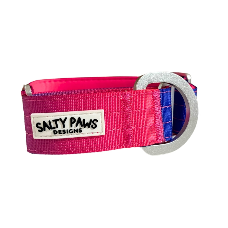 Salty Paws ombre martingale collar in pink to purple gradient with silver D-ring hardware