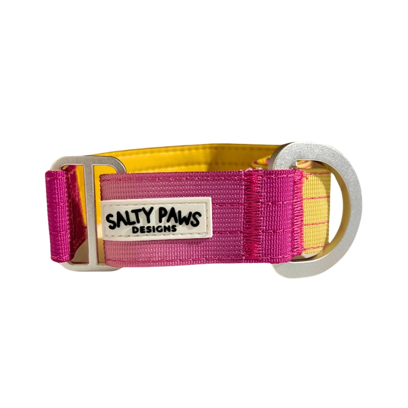Salty Paws ombre martingale collar in pink to yellow gradient with silver D-ring hardware